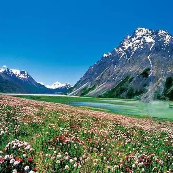 思成语_成语思什么想什么_成语思字开头