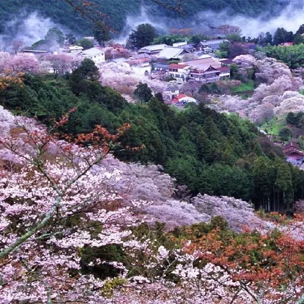 成语思什么想什么_思成语_成语思字开头