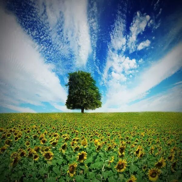 成语思字开头_思成语_成语思什么想什么