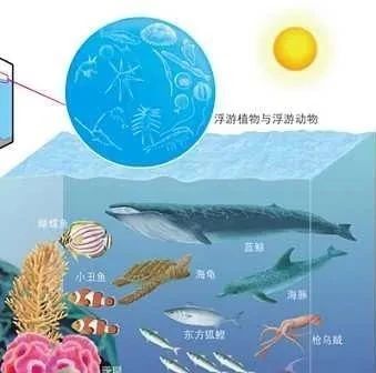 探索未知的世界，是我们人类的天性。