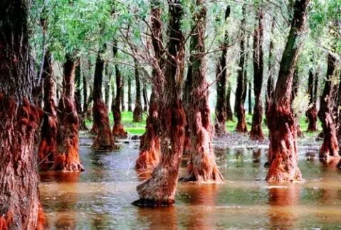 当一个人沉入海底_万魔惊座与风之痕_在学校和村庄之间没有桥