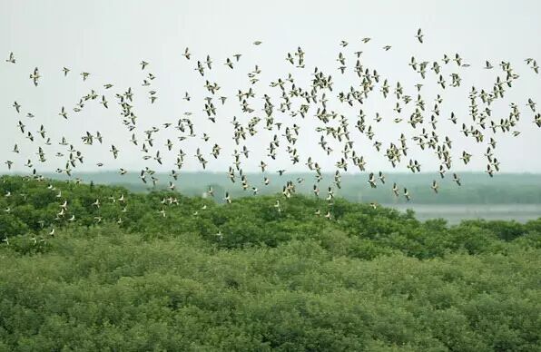 万魔惊座与风之痕_当一个人沉入海底_在学校和村庄之间没有桥