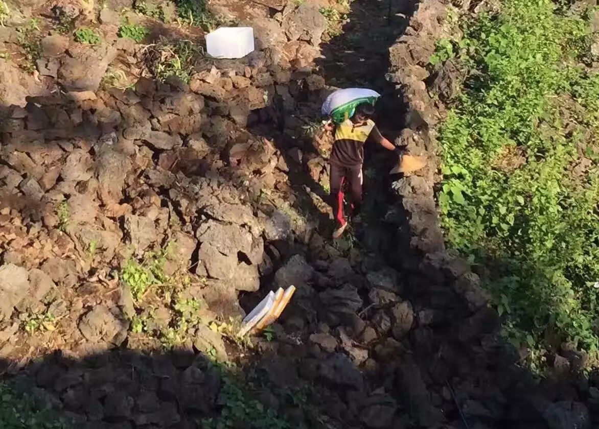 东北赵岩火山号_火山岩_火山玻璃岩和玻璃的硬度哪个高