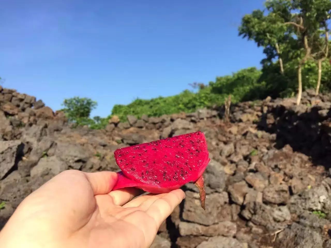 火山岩_火山玻璃岩和玻璃的硬度哪个高_东北赵岩火山号