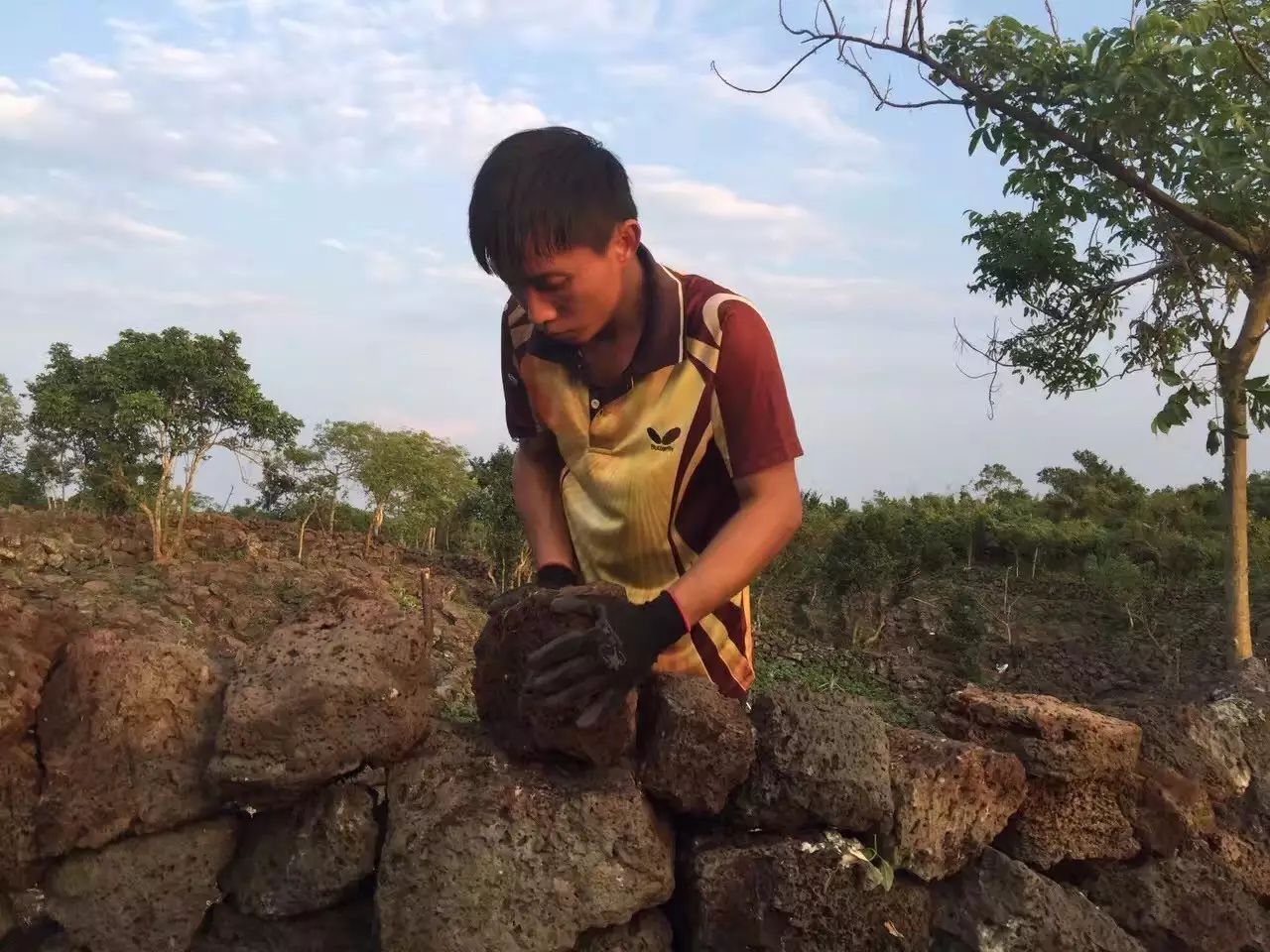 火山岩_火山玻璃岩和玻璃的硬度哪个高_东北赵岩火山号