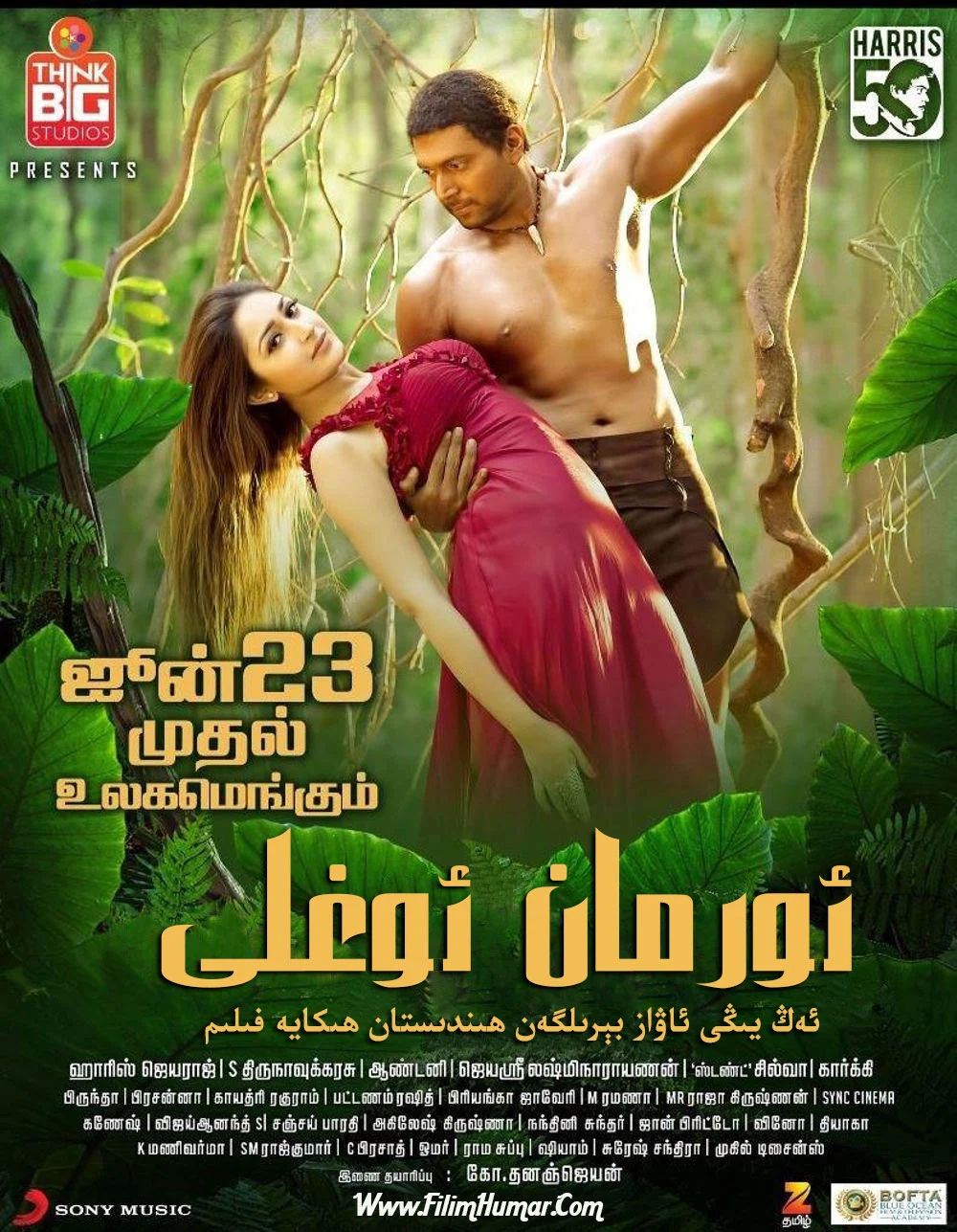 ئورمان ئوغلى