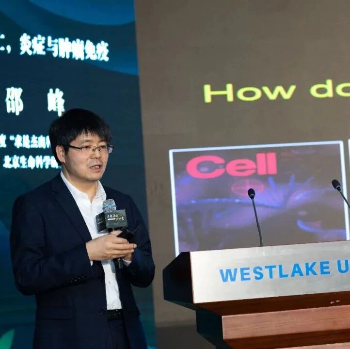 邵峰院士分享科研经历:读博时也曾想放弃,因课题一年多无任何实质性进展!