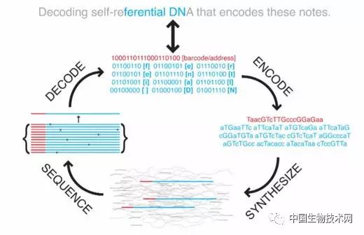 Science215PBݴ洢1DNA