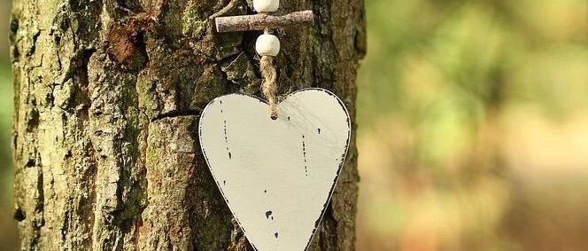 明星夫妻反町隆史和松岛菜菜子的爱情!