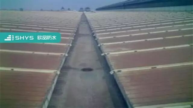��ˮ�����ޡ���С�����칵�ܹ�ͬ����Ҫ