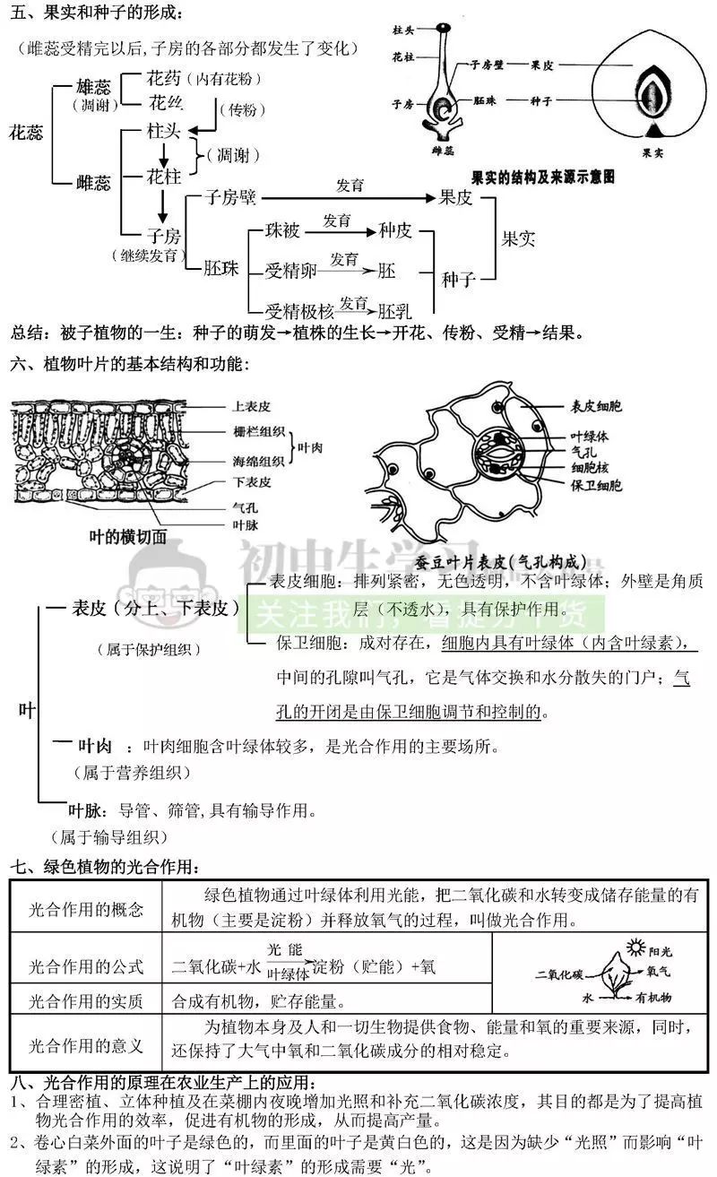 生物老师熬夜整理: 初中生物重点知识大全(送打印版)!