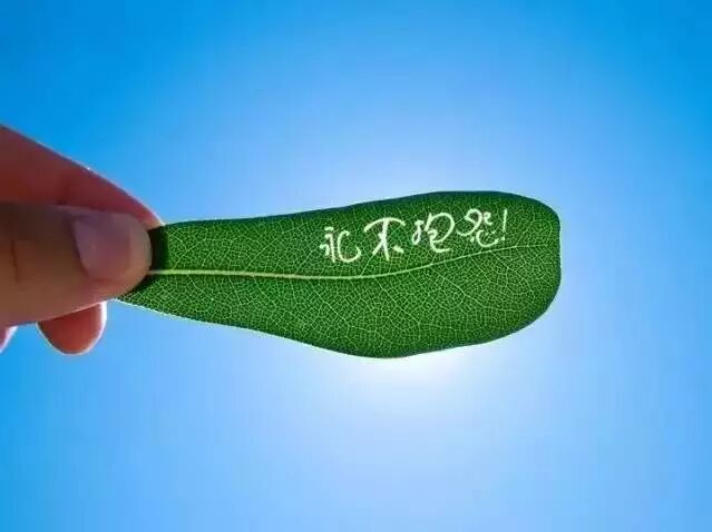 停止抱怨的力量是多么强大！ （好文荐读）