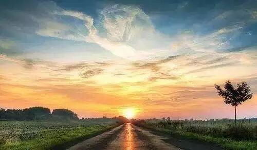 以国学修心，以文化养生