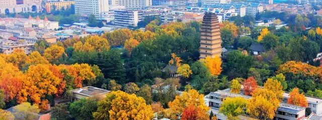 拍遍西安, 他说走过万水千山总有一地故乡