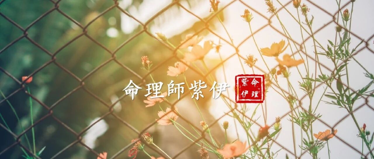 12生肖出生在哪个月份最好命？详解！