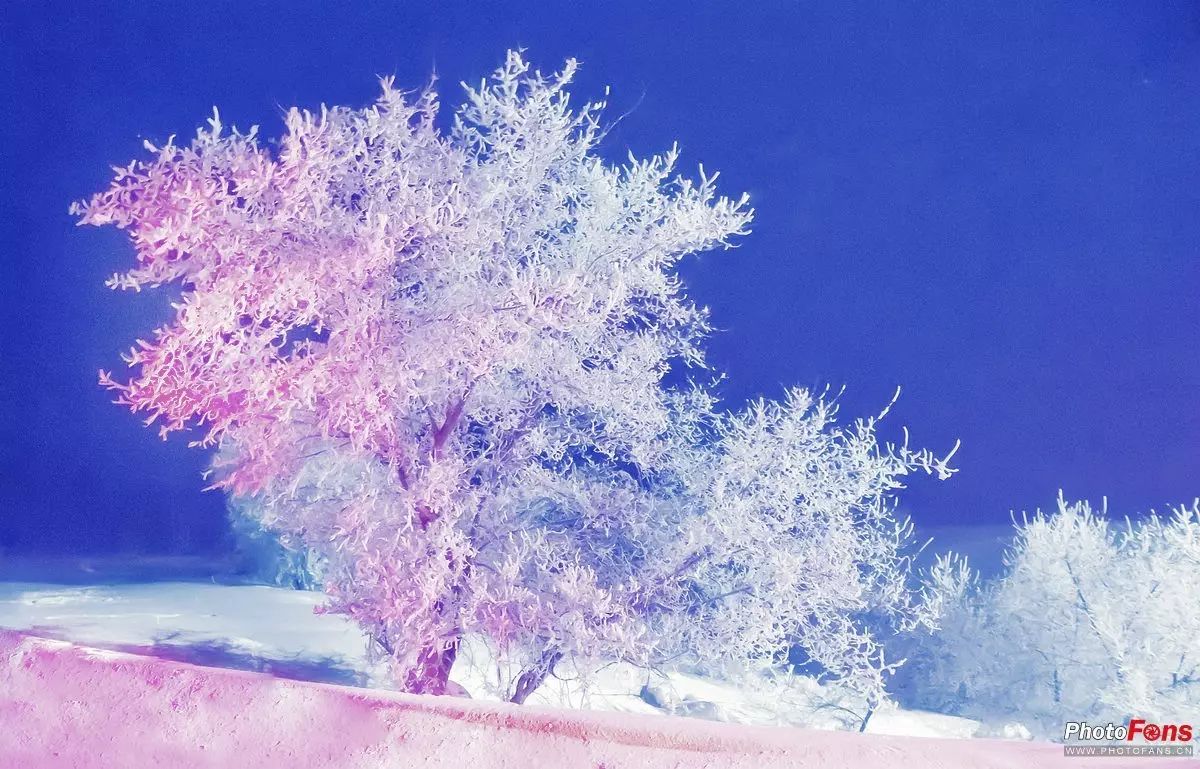 十二月二十七日大雪中过吉水小盘渡西归 (宋·杨万里) 风卷寒江浪湿