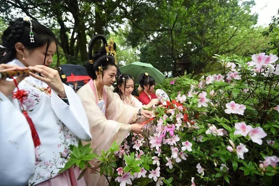 花朝节百花生日在今朝