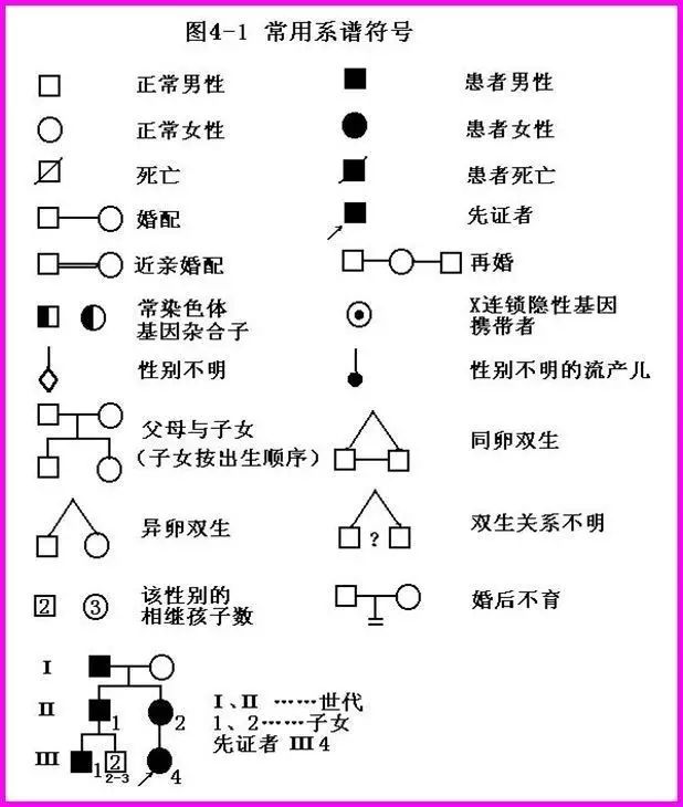 小技巧 | 如何使用各种软件画遗传家系图