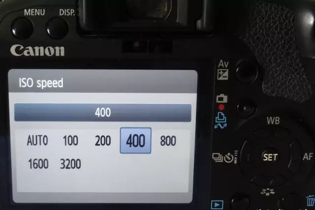 你拍的图片总是不够清晰？很可能犯了这9个错误！第5张-好摄之途