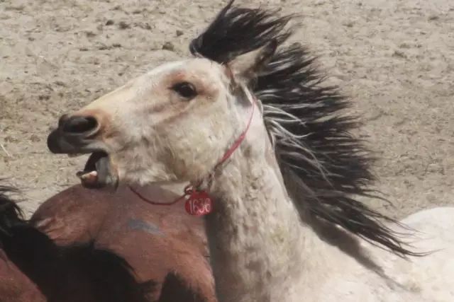 你拍的图片总是不够清晰？很可能犯了这9个错误！第3张-好摄之途