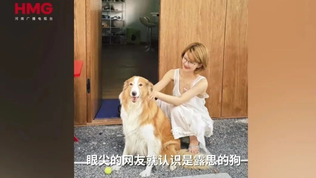 路人捡到赵露思爱犬