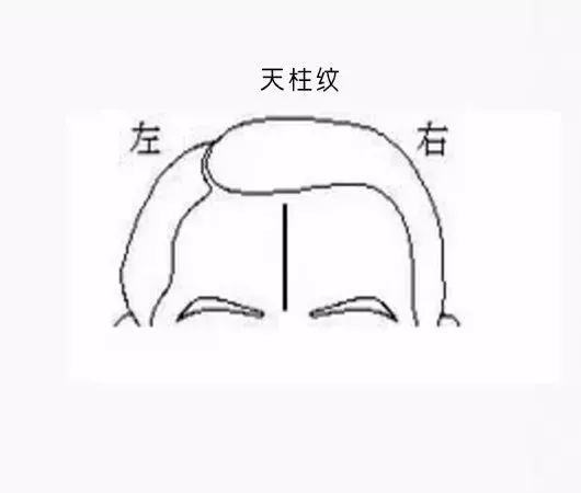 仰月纹又叫伏犀纹,主贵,有此面相特征的人性情温顺,为人正直,极富忍耐