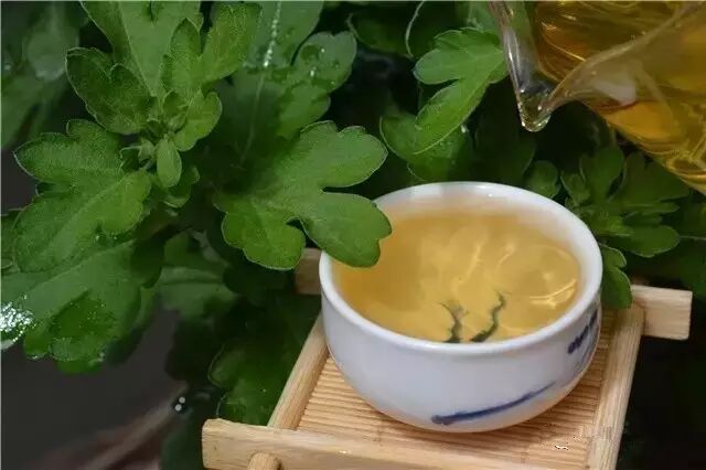 揭秘|云南省古树茶面积与产量