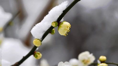 故事分析点评:冬季已过 | 陈秋平