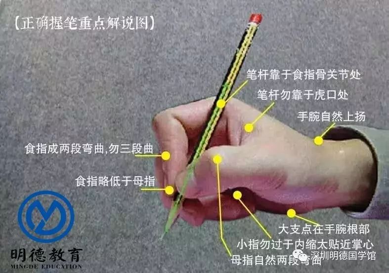 小学生书法必备技能:正确的坐姿,握笔姿势 | 明德教育