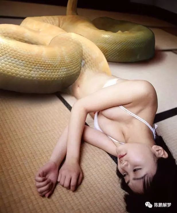开车压到蛇_开车压到蛇蛇会死吗_开车压到蛇会倒霉多久