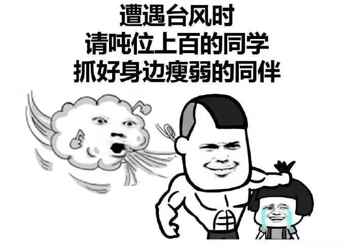 最后小编还是要提醒大家 台风天出行千万要注意安全!
