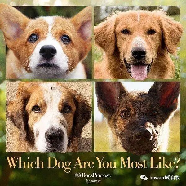 致青春：一部电影的人生感悟