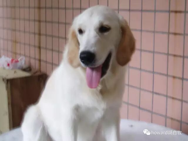 致青春：​我心中最敬佩的英雄