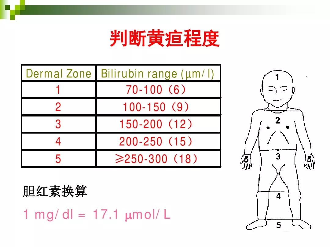 江南大夫个人网站