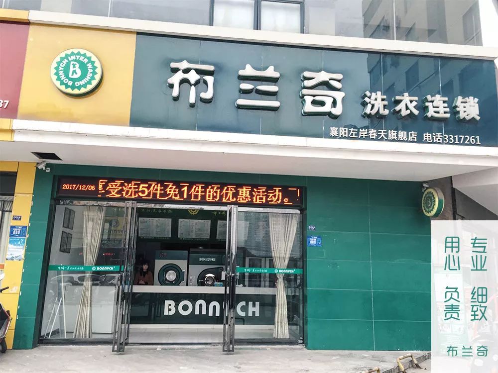 布兰奇—真正的洗衣专家