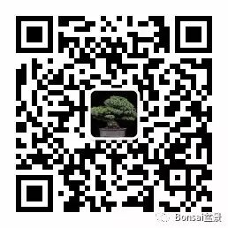 中国盆景是一个庞大的艺术体系