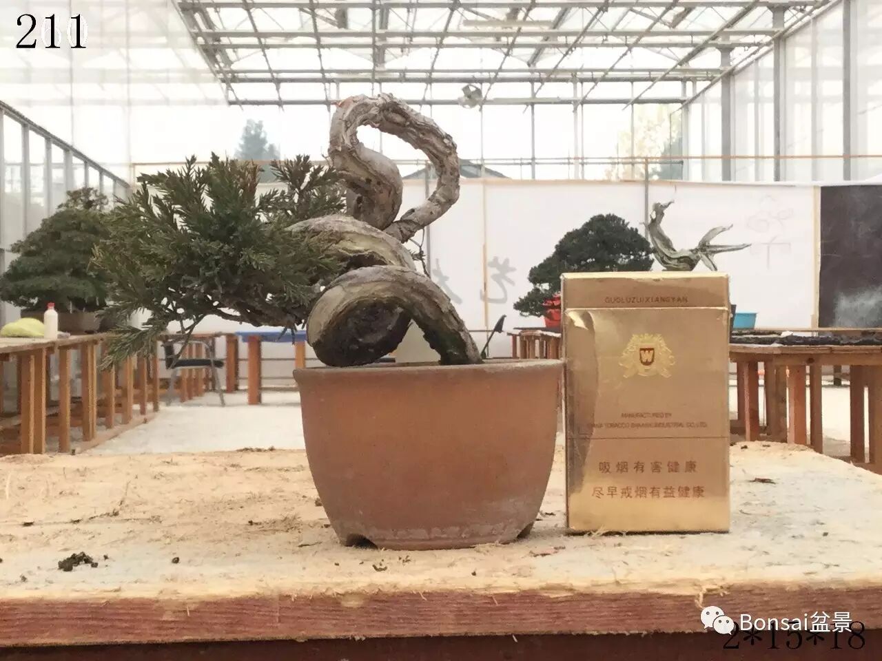 中国盆景是一个庞大的艺术体系