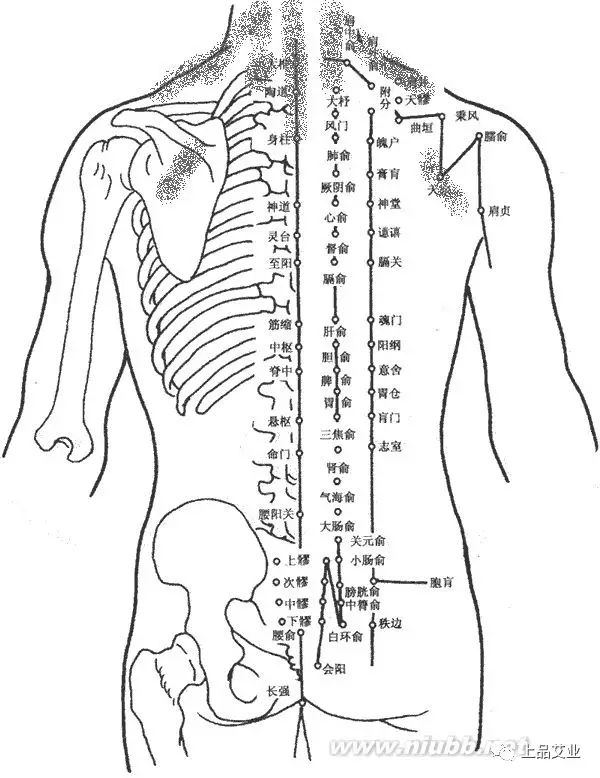 后背肋骨间,两足内外踝后的足跟肌腱处,左右肋下肝脾区,以及两肩胛岗