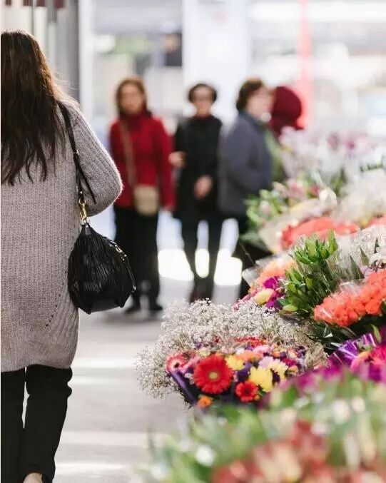 一看就会（澳洲最贵别墅）澳大利亚的别墅多少钱，(图12)