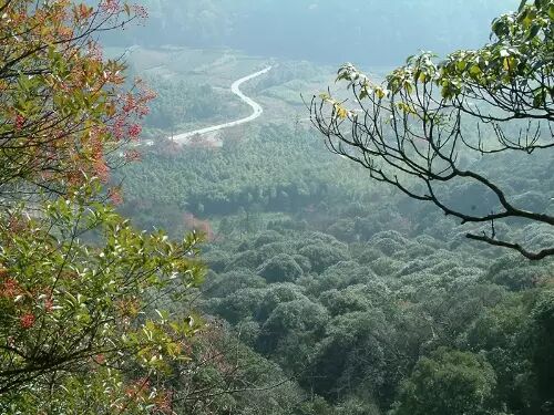 沙朴_朴有天 朴嘉熙_一类沙二类沙三类沙