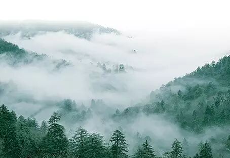 一类沙二类沙三类沙_沙朴_朴有天 朴嘉熙