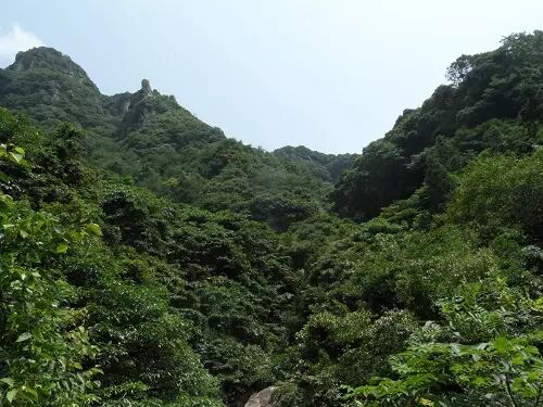 一类沙二类沙三类沙_沙朴_朴有天 朴嘉熙