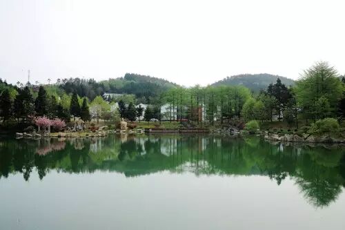 沙朴 去过宁波这23片最美森林，你将收获纯天然的甬城景色