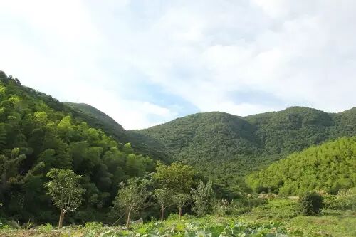 沙朴_朴有天 朴嘉熙_一类沙二类沙三类沙