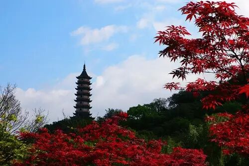 沙朴_一类沙二类沙三类沙_朴有天 朴嘉熙