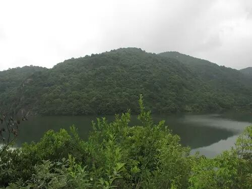 一类沙二类沙三类沙_朴有天 朴嘉熙_沙朴