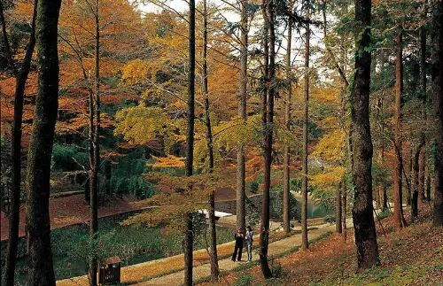 一类沙二类沙三类沙_朴有天 朴嘉熙_沙朴