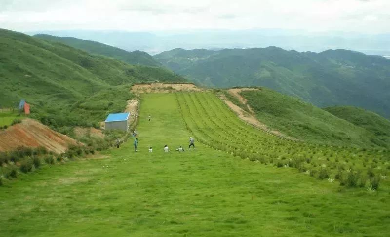 覆卮山滑草场 覆卮山滑草场位于覆卮山峰南侧,总面积达1万多平方米