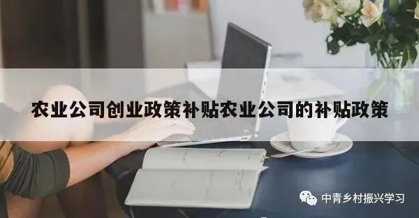 政府补贴创业项目_政府扶持的创业项目_政府支持创业项目