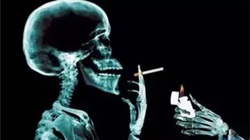 死在嘴上,病在腿上,看一遍多活10年